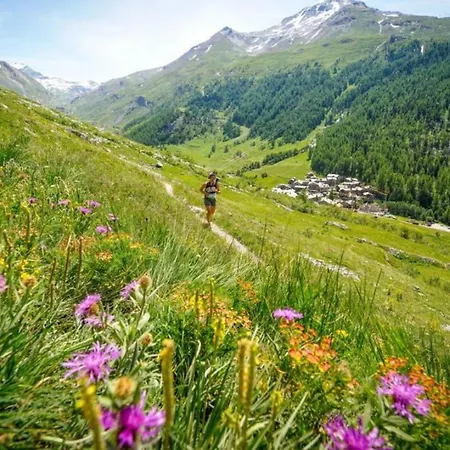 With Terrace Gentianes 1 Centre By Aiguille Du Midi