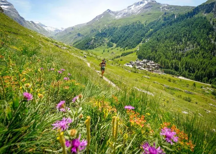 With Terrace Gentianes 1 Centre By Aiguille Du Midi